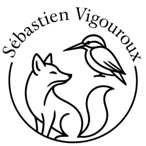 Les bruits de la nature