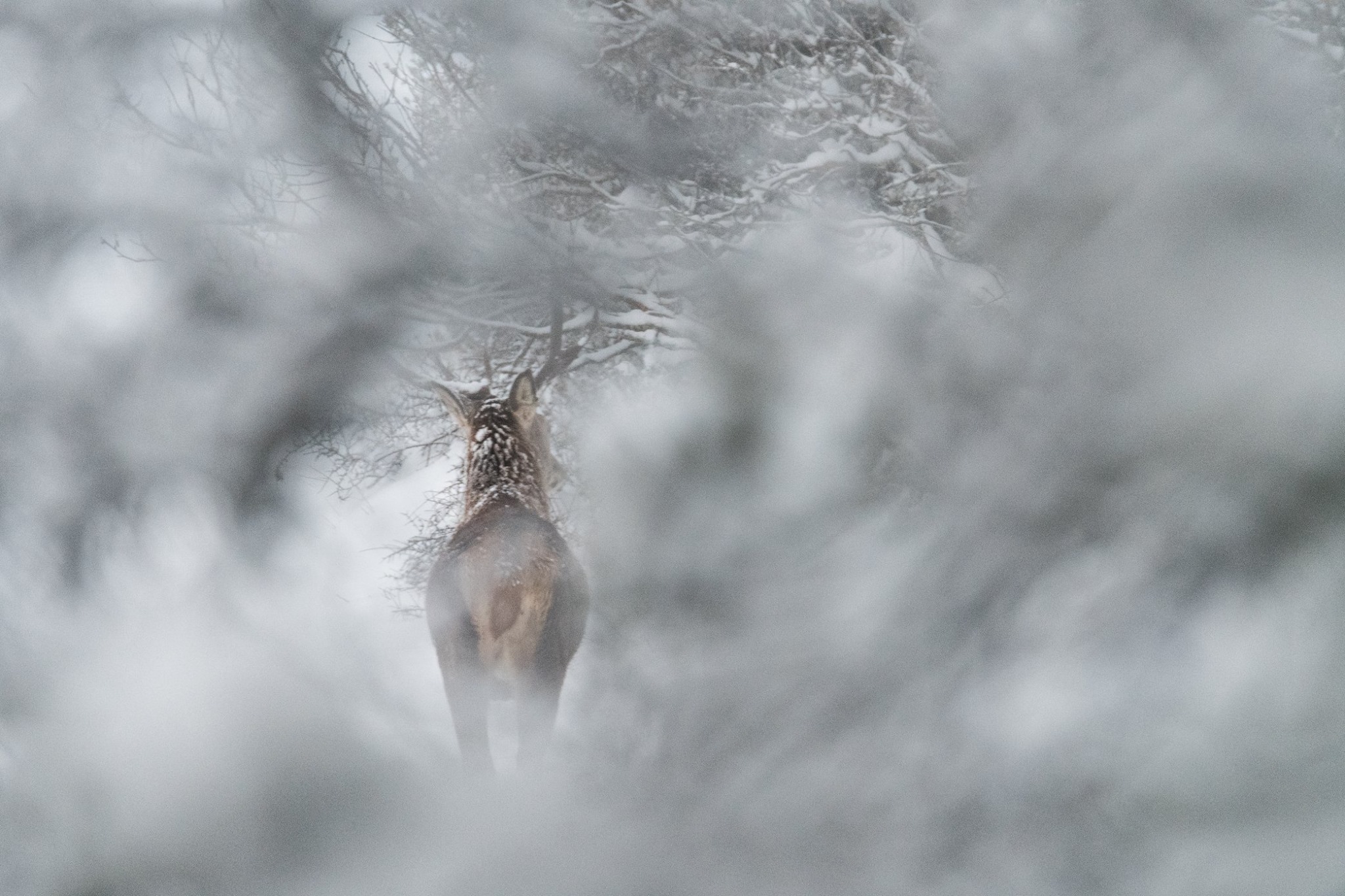 497645166_3860731967573986_7373743841195758744_n