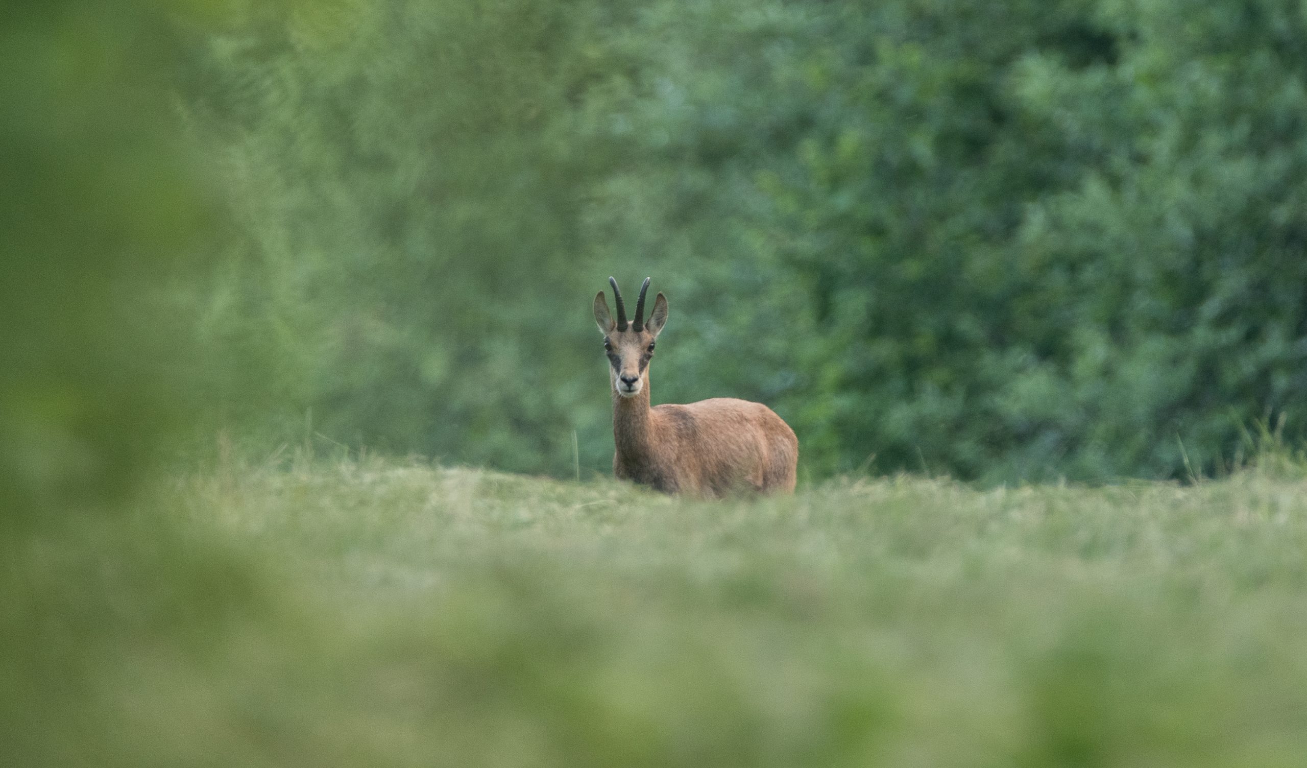 sortie jjb coin de paradis-9 - Copie