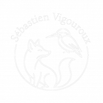 Sébastien Vigouroux – Regards & Lumières